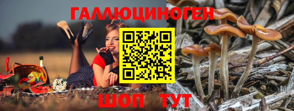 Галлюциногенные грибы прущие грибы  Вход с VPN  Псилоцибиновые грибы Psilocybine cubensis  магазин  наркотиков  Лобня 